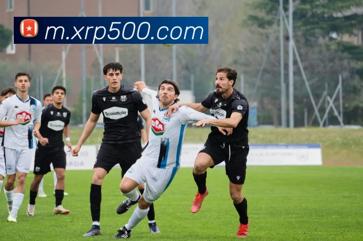 500彩票品牌故事